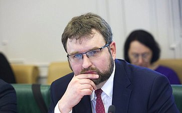 Расширенное заседание Комитета СФ по международным делам «О международных и внешнеэкономических связях Саратовской области» (в рамках Дней Саратовской области в Совете Федерации)
