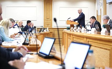 Заседание Комитета Совета Федерации по бюджету и финансовым рынкам