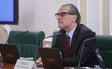 Заседание комитета СФ по конституционному законодательству-2 Александров