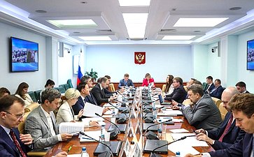 Совещание Комитета Совета Федерации по федеративному устройству, региональной политике, МСУ и делам Севера совместно с АО «Корпорацией развития Дальнего Востока и Арктики»