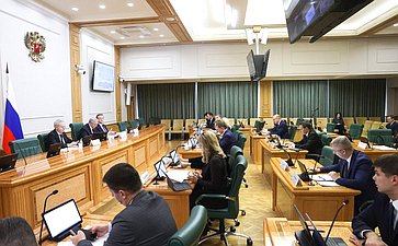 Заседание Комитета Совета Федерации по бюджету и финансовым рынкам
