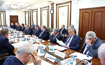 Совещание Комитета Совета Федерации по обороне и безопасности «Опыт внедрения и применения беспилотных систем в войсках национальной гвардии Российской Федерации»