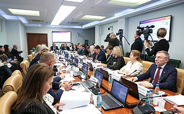 Расширенное заседание Комитета СФ по социальной политике (в рамках дней Тульской области в Совете Федерации)