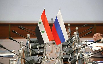 Совместное расширенное заседание групп по сотрудничеству Совета Федерации и Народного Совета Сирийской Арабской Республики