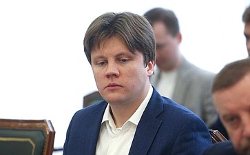 Встреча сенаторов с делегацией Народной скупщины Республики Сербии, членами фракции партии «Единая Сербия» и группы по сотрудничеству Народной скупщиной Республики Сербии с Советом Федерации