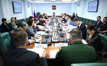 Заседание Комитета Совета Федерации по социальной политике