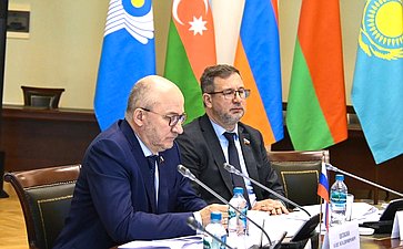 Сенаторы РФ приняли участие в заседании Постоянной комиссии МПА СНГ по правовым вопросам