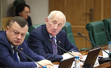 Заседание Комитета Совета Федерации по международным делам