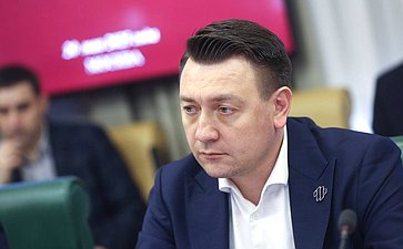 Круглый стол «Первоочередные меры в области развития программ экспериментальных правовых режимов в сфере цифровых инноваций по эксплуатации беспилотных авиационных систем»
