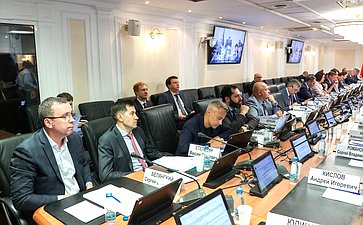 Заседание Комитета Совета Федерации по федеративному устройству, региональной политике, местному самоуправлению и делам Севера