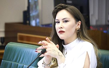 Александр Варфоломеев провел встречу с делегацией Законодательного Собрания Северо-Западной провинции Южно-Африканской Республики при участии Палаты молодых законодателей при Совете Федерации