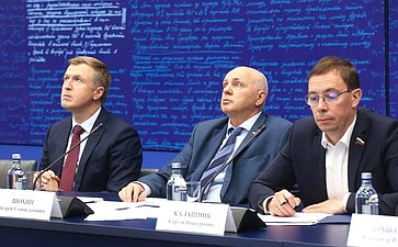Расширенное заседание Комитета СФ по экономической политике (в рамках Дней Волгоградской области в Совете Федерации)
