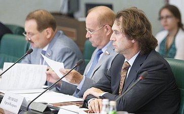 Заседание комитета СФ по аграрно-продовольственной политике-3 Лисовский