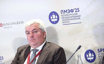 XXVIII Петербургский международный экономический форум (ПМЭФ’25). «Роль государства и медиа в в формировании мировоззрения и ценностей человека»