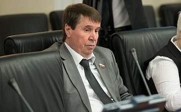 С. Цеков на заседании Комитета СФ по международным делам