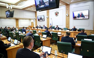 Заседание Комитета Совета Федерации по науке, образованию и культуре