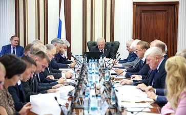 Круглый стол Комитета СФ по обороне и безопасности совместно с Комитетом СФ по социальной политике на тему «О деятельности государственных органов по поиску погибших, пропавших без вести и освобождению попавших в плен участников СВО»