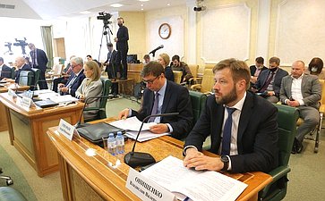 Заседание Научно-экспертного совета на тему «Развитие цифровой среды в Российской Федерации как пространства безопасности, верховенства права и устойчивого развития»