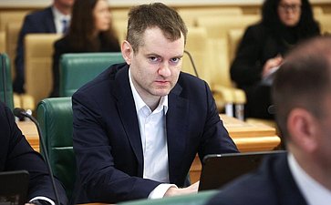 Заседание Комитета Совета Федерации по бюджету и финансовым рынкам