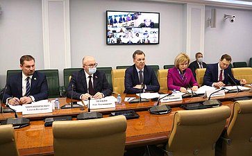 Совещание на тему «О разработке мер по реализации в Российской Федерации «зеленых» проектов, оказывающих минимальное воздействие на окружающую среду»