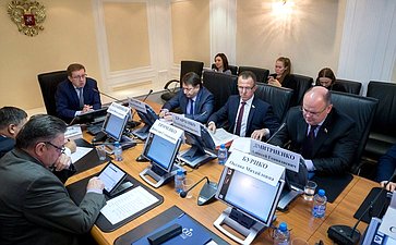 Заседание Экспертного совета при Комитете СФ по экономической политике по созданию основ цифронизации экономики