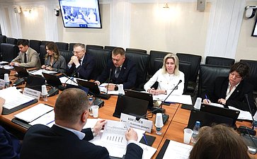 Круглый стол Комитета СФ по социальной политике на тему «Вопросы профессиональной самореализации молодых граждан России: современные вызовы и перспективы»