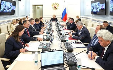 Заседание Комитета Совета Федерации по науке, образованию и культуре