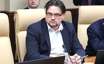 Заседание секции «Цифровые регионы: лучшие практики и стратегии развития» (фото пресс-служба Совета Федерации)