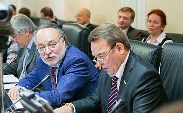 А. Тотоонов Заседание Комитета СФ по международным делам