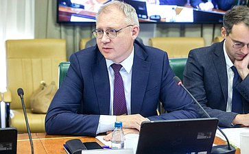 Заседание Комитета Совета Федерации по международным делам