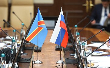 Егор Борисов провел встречу с директором по административным вопросам Национальной геологической службы Демократической Республики Конго Муамбой Мушимпаку Годфруа