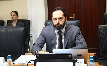 Заседание Комитета Совета Федерации по Регламенту и организации парламентской деятельности