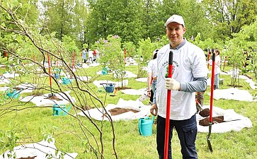 В Год защитника Отечества и 80-летия Победы в Великой Отечественной войне 1941–1945 годов сенаторы РФ и сотрудники Аппарата СФ провели акцию «Сад Памяти» — высадили 250 кустов сирени в музее-заповеднике «Горки Ленинские»