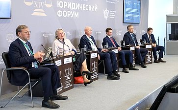 Константин Косачев провел сессию «Концепция «враждебных действий» недружественных иностранных государств в отношении России и меры по дальнейшему совершенствованию законодательства РФ в указанной области» в рамках ПМЮФ
