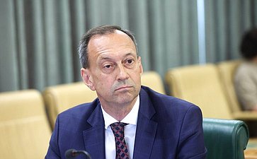 Заседание Комитета Совета Федерации по бюджету и финансовым рынкам