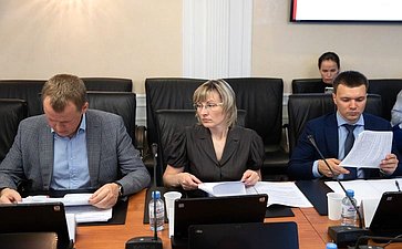 Заседание рабочей группы по мониторингу реализации законодательства РФ в области обращения с отходами производства и потребления