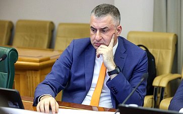 Круглый стол Комитета Совета Федерации по экономической политике «О перспективах обновления инфраструктуры и подвижного состава городского электрического транспорта в субъектах Российской Федерации»