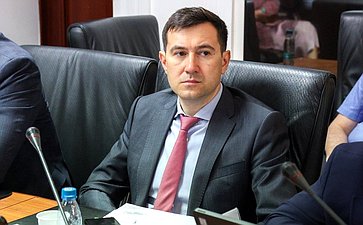 Заседание Комитета Совета Федерации по федеративному устройству, региональной политике, местному самоуправлению и делам Севера
