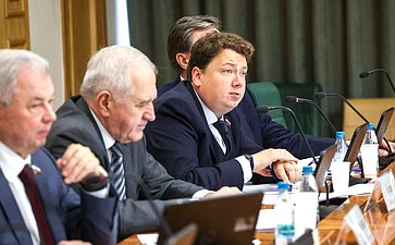 Расширенное заседание Комитета Совета Федерации по бюджету и финансовым рынкам