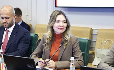 Александр Варфоломеев провел встречу с делегацией Законодательного Собрания Северо-Западной провинции Южно-Африканской Республики при участии Палаты молодых законодателей при Совете Федерации
