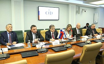 Встреча первого заместителя председателя Комитета СФ по международным делам Владимира Джабарова с депутатом Кнессета Государства Израиль, руководителем группы дружбы «Израиль-Россия» Владимиром Белиаком