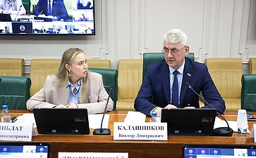 Круглый стол Комитета Совета Федерации по экономической политике на тему «Актуальные вопросы реализации национального проекта «Эффективная и конкурентная экономика»»