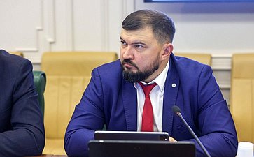 Круглый стол Комитета Совета Федерации по экономической политике «О перспективах обновления инфраструктуры и подвижного состава городского электрического транспорта в субъектах Российской Федерации»