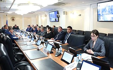 Заседание Комитета Совета Федерации по Регламенту и организации парламентской деятельности