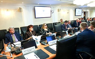 Совещание Комитета Совета Федерации по Регламенту и организации парламентской деятельности «Выборы в 2025 году и общественный контроль за голосованием»