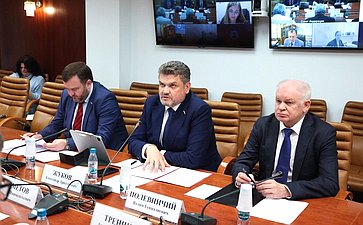 Совещание Комитета СФ по экономической политике «Добыча и переработка редкоземельных металлов: проблемы и пути решения»
