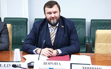 Дмитрий Ворона