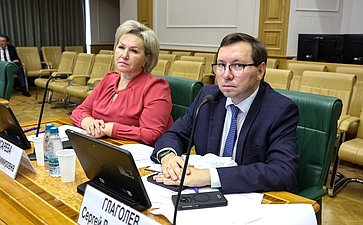 Заседание Комитета Совете Федерации по федеративному устройству, региональной политике, местному самоуправлению и делам Севера