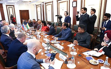 Встреча первого заместителя председателя Комитета СФ по международным делам Андрея Денисова с делегацией Республики Индии во главе с членом Народной палаты парламента Каниможи Карунанидхи