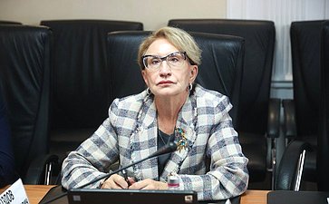 Рабочее совещание Совета по вопросам развития Сибири при Председателе Совета Федерации на тему «Действующие механизмы социального инвестирования в России: проблемы и пути их решения»
